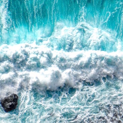 weDo-World-Oceans-Day-pic-2